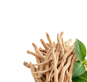 xdose funkcionālo šotu izvejvielas - Ashwagandha