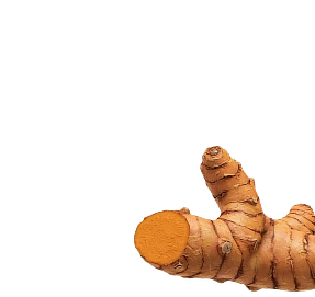 xdose funkcionālo šotu izvejvielas - Kurkuma