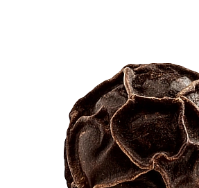 xdose functional shot ingredients - Black pepper extra