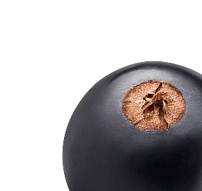 blackcurrants