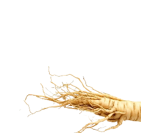 xdose functional shot ingredients - Ginseng