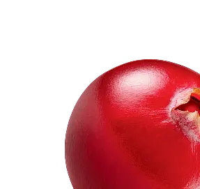 xdose funkcionālo šotu izvejvielas - dzērvene