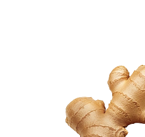 xdose funkcionālo šotu izvejvielas - ingvers