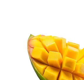 xdose functional shot ingredients - mango